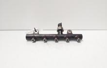 Rampa injectoare cu senzor, cod 9656391180, Peugeot 307, 2.0 HDI, RHR (idi:718299)