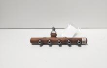 Rampa injectoare cu senzor Delphi, cod 8200669695, Renault Clio 3 1.5 DCI, K9K770 (id:703546)