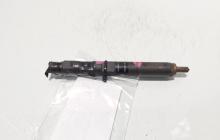 Injector Delphi, cod 166000897R, H8200827965, Renault Clio 3 1.5 DCI, K9K770 (id:703407)