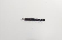 Injector Delphi, cod 166000897R, H8200827965, Renault Clio 3 1.5 DCI, K9K770 (id:720056)