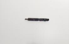 Injector Delphi, cod 166000897R, H8200827965, Renault Clio 3 1.5 DCI, K9K770 (id:720053)