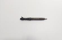 Injector, cod 9686191080, EMBR00101D, Land Rover Range Rover Evoque 2.2CD4, 224DT (id:719392)