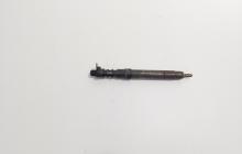 Injector, cod 9686191080, EMBR00101D, Land Rover Range Rover Evoque 2.2CD4, 224DT (id:719393)