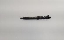 Injector, cod 9686191080, EMBR00101D, Ford Galaxy 2 2.0 TDCI, UFWA (id:719521)