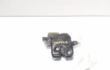 Broasca haion, cod 846307169R, Renault Captur (id:720320)