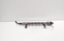 Rampa injectoare cu senzori, cod 9656917280, Land Rover Freelander 2 (FA) 2.2 DT, 224DT (id:720273)