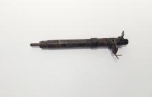 Injector, cod 9686191080, EMBR00101D, Ford Galaxy 2 2.0 TDCI, UFWA (id:720252)