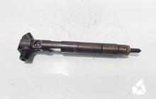 Injector Delphi, cod A6510700587, Mercedes Clasa E (W212) 2.2 CDI, OM651924 (id:722309)