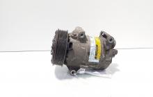Compresor clima, cod 8200309193, Renault Grand Scenic 2 1.9 DCI, F9Q812 (id:723185)