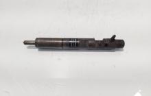 Injector Delphi, cod 28237259, 8200827965, Renault Megane 3 Sedan 1.5 DCI (id:723898)