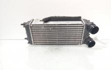 Radiator intercooler, cod AV21-9L440-AB, Ford Fiesta 6 1.5 TDCI, UGJC (id:724183)