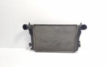 Radiator intercooler, cod 3C0145805P, Vw Passat (3C2) 2.0 TDI, BKP (id:724233)