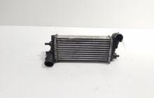 Radiator intercooler, cod BV61-9L440-CE, Ford C-Max 2, 1.6 TDCI, T1DA (idi:731452)