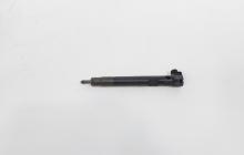 Injector Delphi, cod A6510702887, Mercedes CLS (C218) 2.2 CDI, OM651924 (idi:732020)