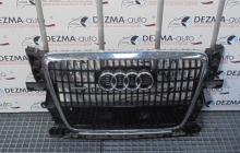 Grila bara fata centrala cu sigla si senzori, 8R0853651, Audi Q5 (8R)