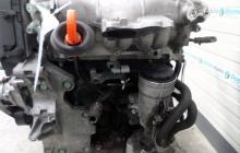 Motor, BKP, Vw Passat Variant  (pr:111745)