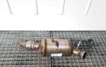 Catalizator filtru particule, Bmw 5 Touring (F11) 2.0 D, BM6053T