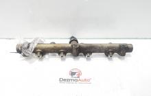 Rampa injectoare, Peugeot 406 Coupe, 2.2 hdi, 4HX, 0445214017