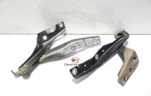 Set balamale capota fata, Peugeot 308 [Fabr 2007-2013] 9656739680 (id:404035)