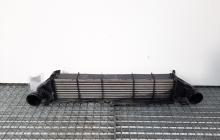 Radiator intercooler, Mercedes Clasa C T-Model (S203) [Fabr 2001-2007] 2.7cdi, A2035000600