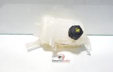 Vas expansiune, Renault Megane 3, cod 217100005R