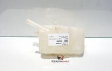 Vas expansiune, Renault Megane 3, cod 217100005R