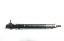 Injector, cod  9686191080, EMBR00101D, Ford Galaxy 2, 2.0 tdci, UFWA (pr:110747)