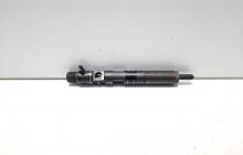 Injector, cod 166000897R, H8200827965, Renault Clio 3, 1.5 DCI, K9K770 (id:455215)