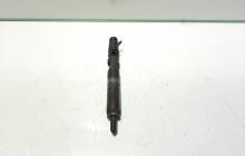 Injector, cod 8200365186, EJBR01801A, Renault Kangoo 1, 1.5 DCI, K9K702 (id:462529)