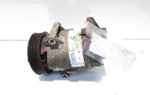 Compresor clima Delphi, cod 8200309193, Renault Megane 2, 1.9 DCI, F9QB800 (id:463091)