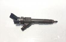 Injector, cod 8200100272, 0445110110B, Renault Laguna 2, 1.9 dci, F9Q (id:463081)