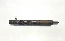 Injector, cod 8200240244, EJBR02101Z, Renault Clio 2 Coupe, 1.5 DCI, K9K (id:464288)