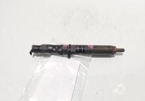 Injector Delphi, cod 166000897R, H8200827965, Renault Clio 3 1.5 DCI, K9K770 (id:703210)