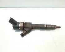 Injector, cod 8200100272, 0445110110B, Renault Megane 1 Combi, 1.9 DCI, F9Q732 (idi:471928)