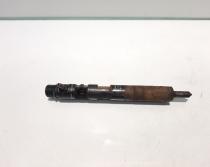 Injector, cod 8200206565, EJBR01801Z, Renault Megane 2 Coupe-Cabriolet, 1.5 DCI, K9K722 (idi:456468)