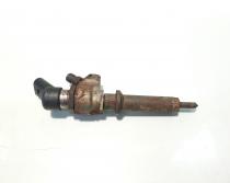 Injector, cod 9652173780, Peugeot 406 Break,  2.0 hdi, RHY (idi:474873)