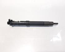 Injector, cod 9686191080, EMBR00101D, Ford Focus 3 Sedan, 2.0  tdci, UFDB (idi:474466)