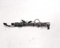 Rampa injectoare cu senzori Delphi, cod A6510700595, Mercedes Clasa E (W212) 2.2 CDI, OM651924 (id:485378)
