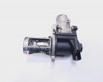 EGR, cod 038131501AD, Audi, 2.0 TDI, BPW (idi:493864)