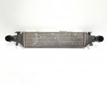 Radiator intercoooler, Mercedes, 2.2 CDI, OM646811 (idi:351938)