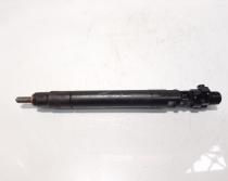 Injector, cod 9686191080, EMBR00101D, Ford Galaxy 2, 2.0 TDCI, UFWA (id:507067)