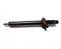 Injector, cod 9688438580, EJBR06001D, Citroen C5 (I) Break, 2.0 HDI, RHF (id:509290)