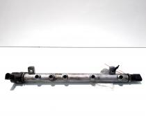 Rampa injectoare cu senzori, cod A6400701295, Mercedes Clasa A (W169), 2.0 CDI, OM64094030 (idi:513746)