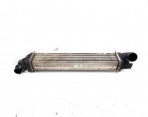 Radiator intercooler, Renault Grand Scenic 3, 1.6 DCI, R9M402 (id:525746)