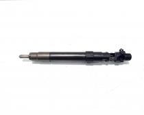 Injector, cod 9686191080, EMBR00101D, Ford Mondeo 4 Turnier, 2.0 TDCI, TXBB (idi:529998)