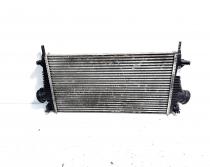 Radiator intercooler, cod GM13241751, Opel Insignia A Sports Tourer, 2.0 CDTI, A20DTH (idi:535208)