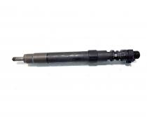 Injector, cod 9686191080, EMBR00101D, Ford S-Max 1, 2.0 TDCI, TXWA (idi:546672)