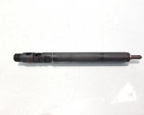 Injector, cod 9650059780, EJBR01001A, Citroen C3 (I) 1.4 HDI, 8HY (id:555404)