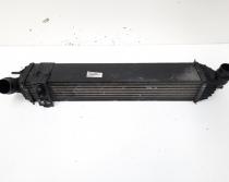 Radiator intercooler, cod 144960001R, Renault Laguna 3 Coupe, 2.0 DCI, M9R802 (idi:555081)