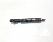 Injector, cod 8200365186, EJBR01801A, Renault Kangoo 1, 1.5 DCI, K9K702 (id:558968)